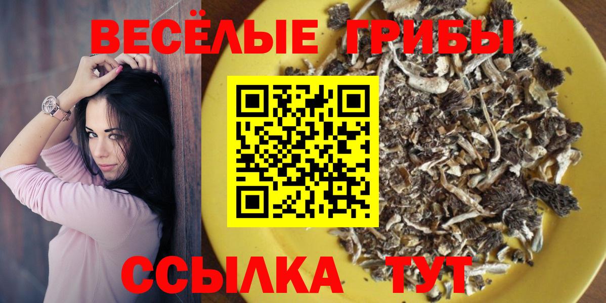 Нефтекамск  Галлюциногенные грибы ЛСД  Вход с VPN 