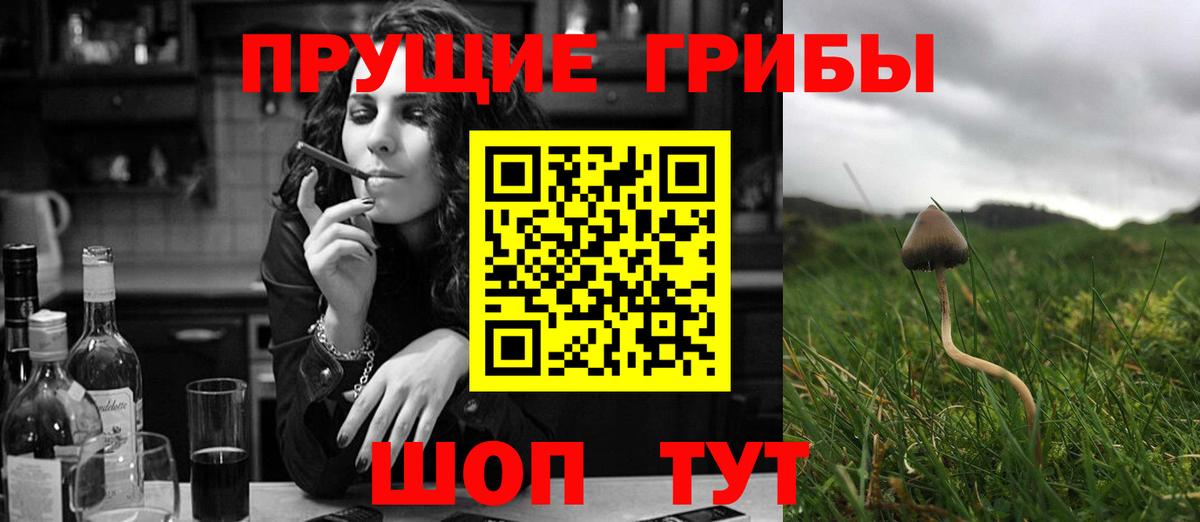 Псилоцибиновые грибы мицелий Нефтекамск